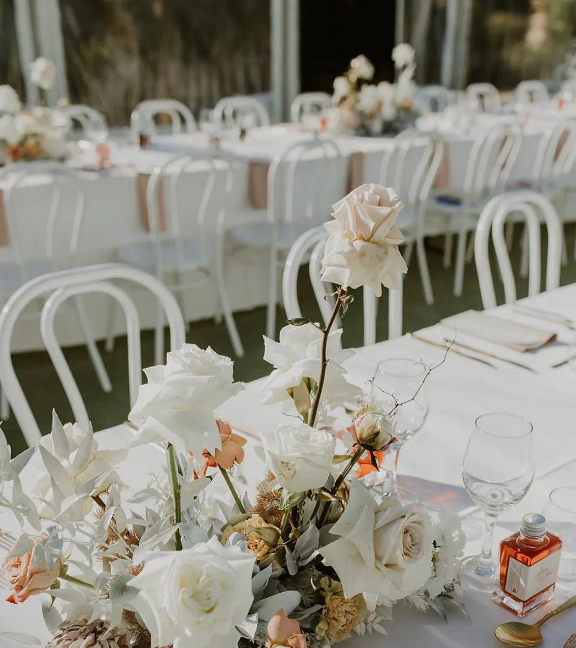 Chairs & Stools