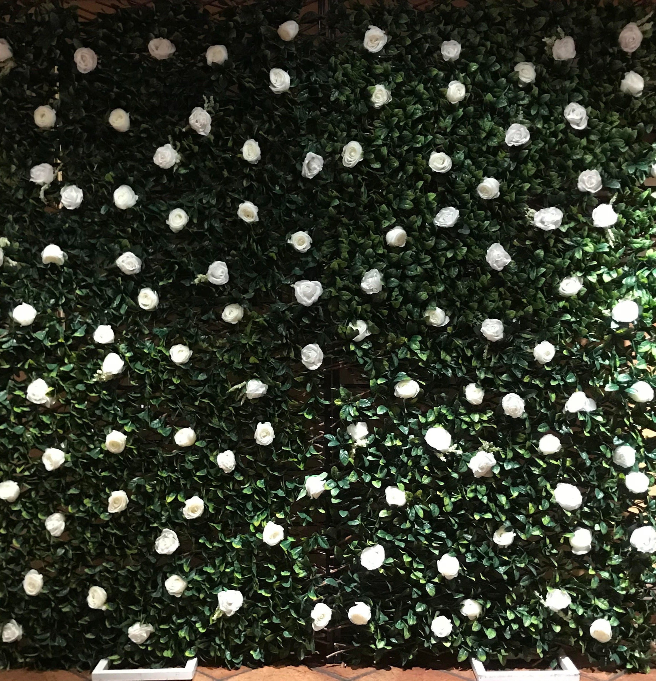 Greenery with White Roses Wall – Adelaide Wedding Hire